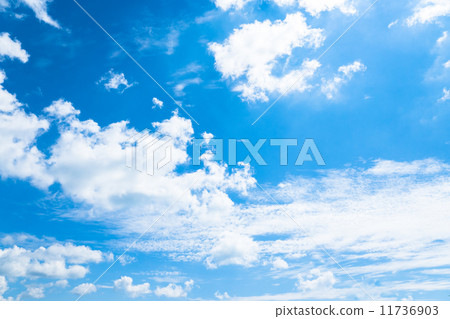 在藍色的廣闊 11736903