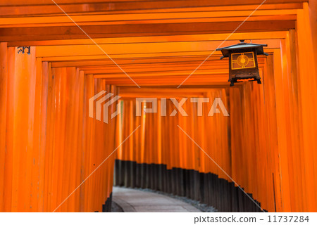 Kyoto Fushimi Inari Taisha Senbon Torii 11737284