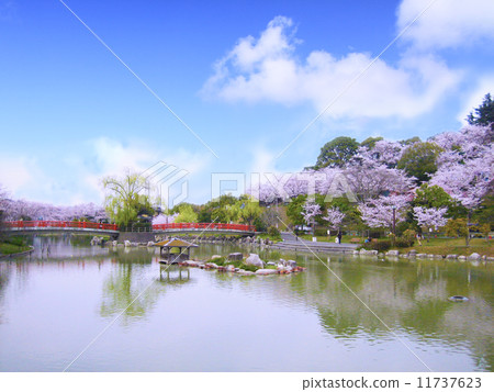 It is a cherry tree that will be a picture of the park. 11737623