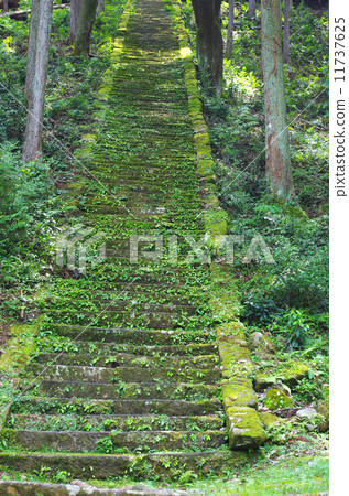 Mossy stone steps Mossy stone steps 11737625