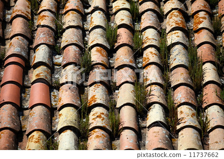 tile roof  grassy 11737662