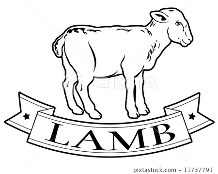 Lamb food label Lamb food label 11737791