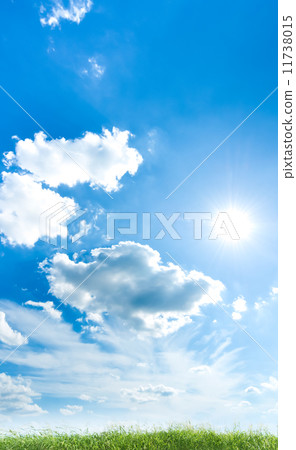 Summer Prairie 11738015