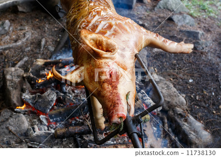 Piglet on the grill in outdoor 11738130