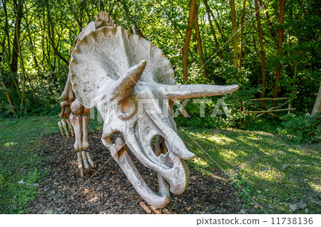 Triceratops Fossil skeleton over natural background Triceratops Fossil skeleton over natural background 11738136