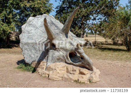 Triceratops Fossil skeleton over natural background Triceratops Fossil skeleton over natural background 11738139