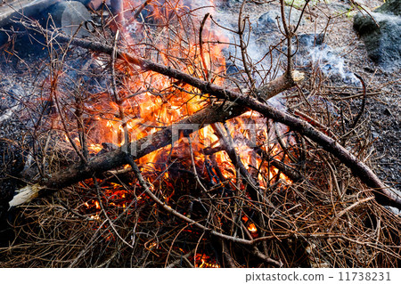 outdoor firewood burning in fireplace 11738231