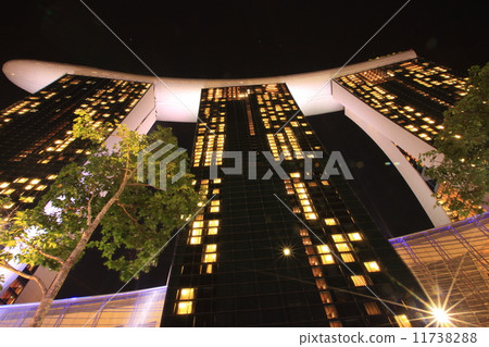 Night at Marina Bay Sands 11738288