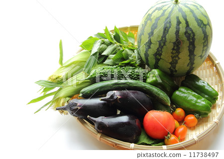 夏季蔬菜豐收 夏季蔬菜豐收 11738497