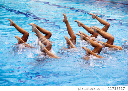 Synchronized swimming 11738517