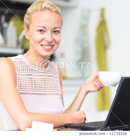 Business woman working from home. 11738538