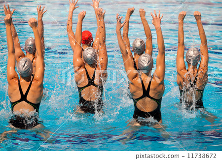 Synchronized swimmers 11738672