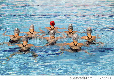 Synchronized swimmers 11738674