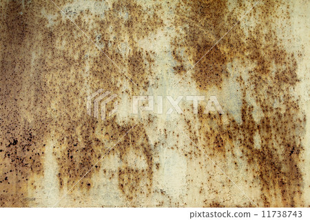 Grunge home background Grunge home background 11738743