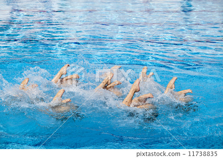 Synchronized swimming 11738835