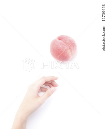 桃 桃 11739468