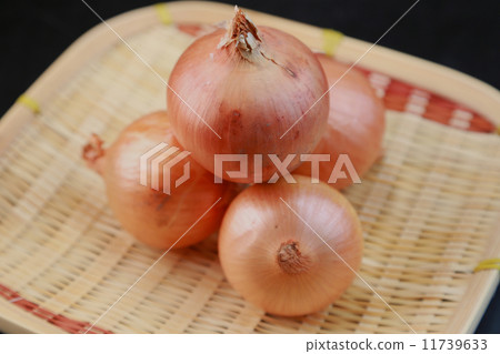 蔥 蔥 11739633