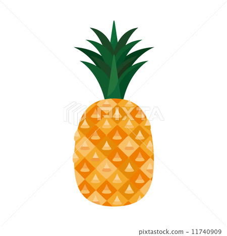 菠蘿[食品系列] 11740909