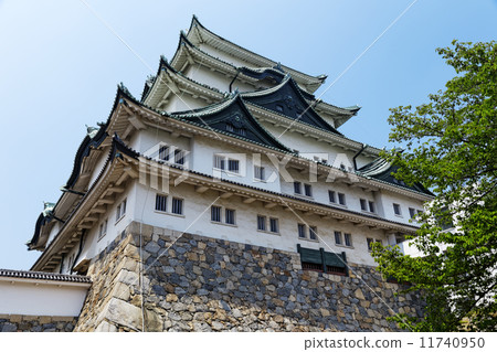 Nagoya castle 11740950