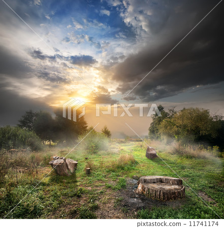 Endangered forest Endangered forest 11741174