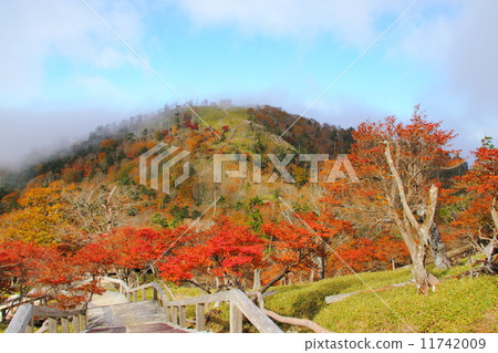 Autumn leaves of Odaigahara 11742009