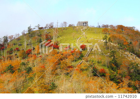 秋天的Hinodeigake 秋天的Hinodeigake 11742010