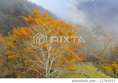 Autumn's Odaigahara 11742011