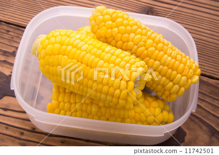 煮玉米 煮玉米 11742501