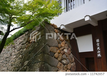 Inuyama castle in early summer 11742857