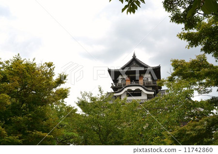 Inuyama城堡在初夏 Inuyama城堡在初夏 11742860