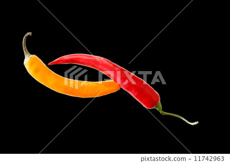 hot pepper 11742963