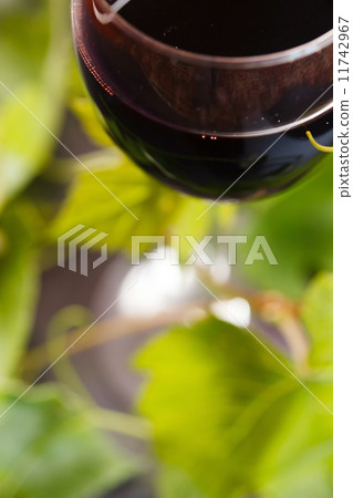 Red wine in glass with grape leaves 11742967