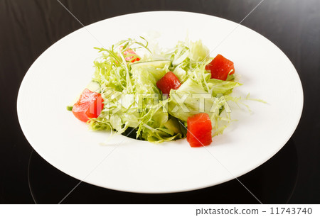 fresh salad fresh salad 11743740