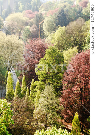 nice park nice park 11743909