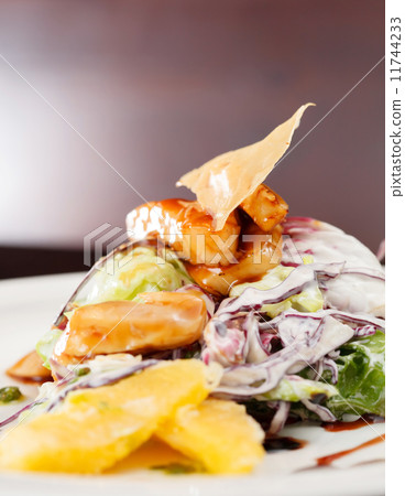salad with chicken 11744233