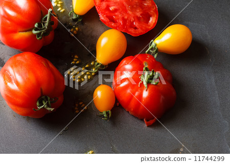 fresh tomatoes 11744299