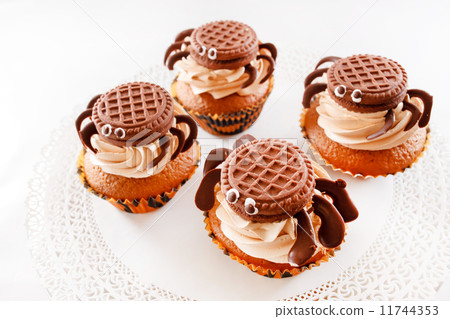 chocolate muffins 11744353