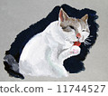 White Cat 11744527