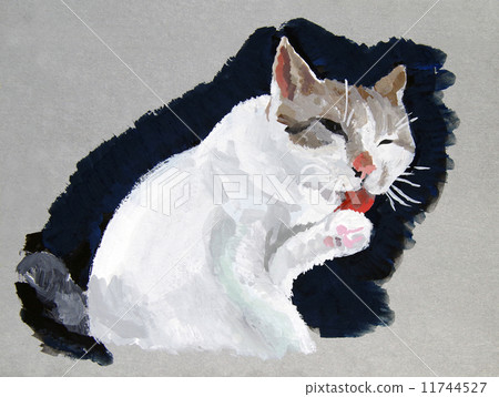 White Cat White Cat 11744527