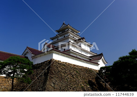 敦賀城堡 11744639