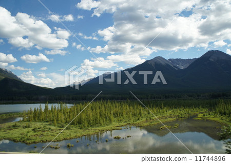 A water glass 11744896