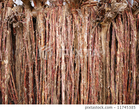 日本紙的原料 日本紙的原料 11745385