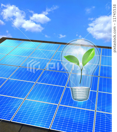 Solar panels on the roof and young leaves in the bulb 11745538