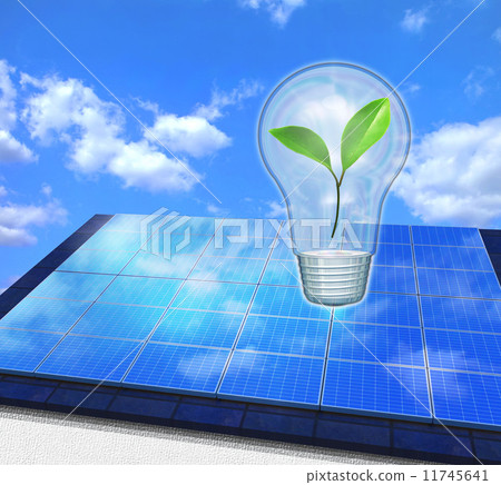 Solar panels on the roof and young leaves in the bulb Solar panels on the roof and young leaves in the bulb 11745641