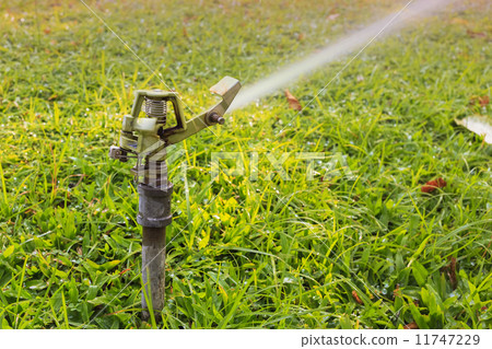 sprinkler head watering the flowers and grass 11747229