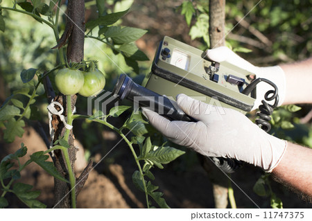 Measuring radiation 11747375