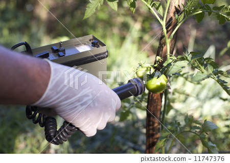 Measuring radiation Measuring radiation 11747376