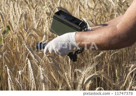 Measuring radiation  11747378