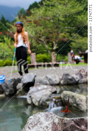 Yamame釣魚蜻蜓 11747771