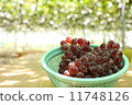 Grape  11748126